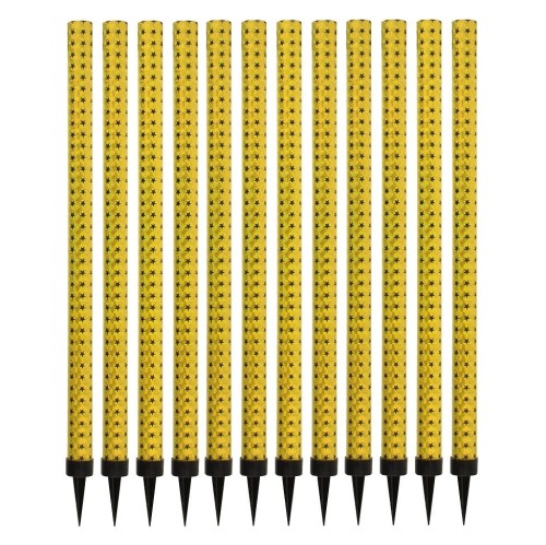 12011 - 1 złota.jpg