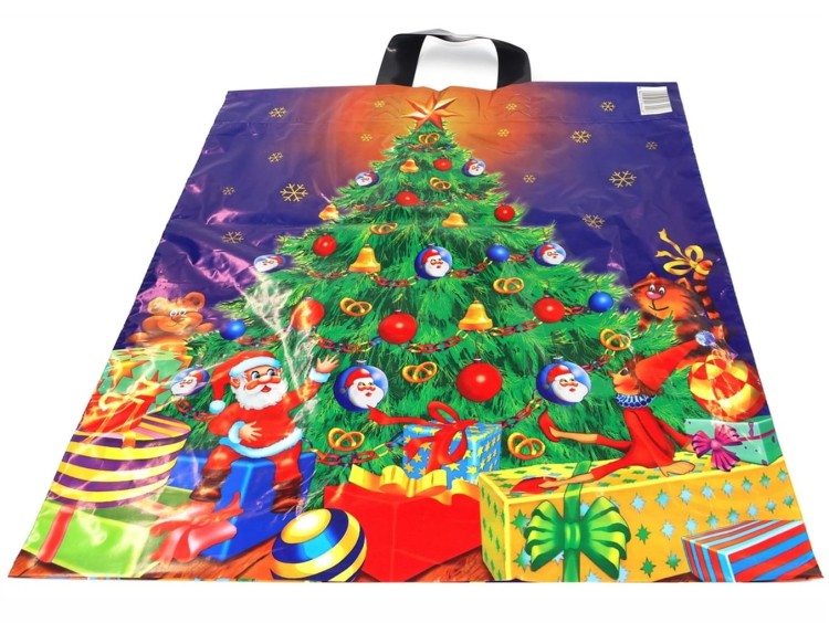 0034 - 1 CHOINKA.jpg