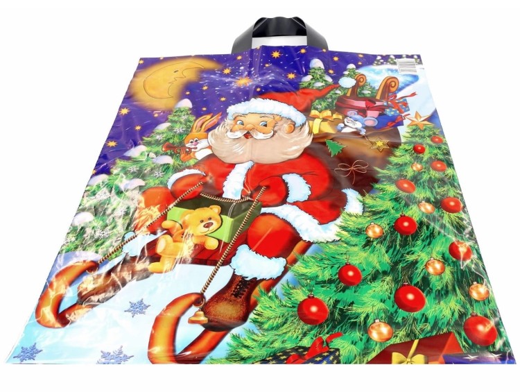 0034 - 1 MIKOŁ NA SANI.jpg