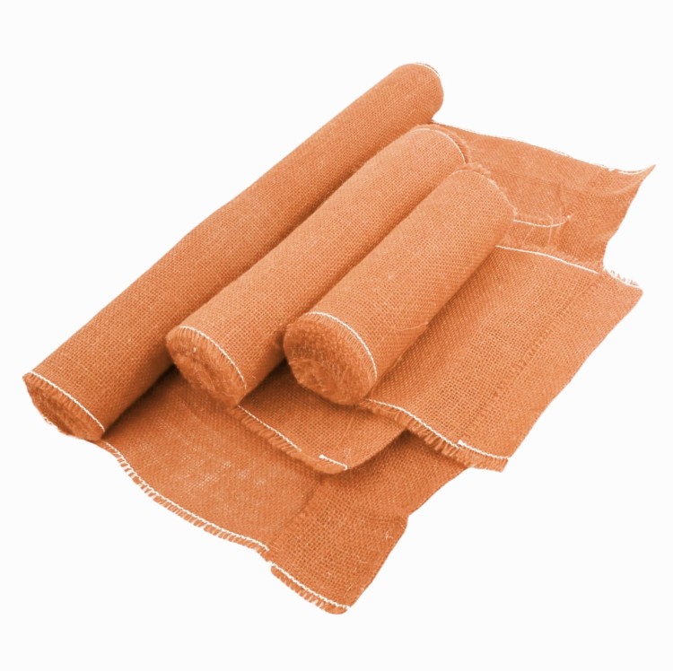 12523 - 4 łosoś.jpg