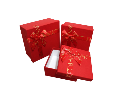 transparent-Photoroom(47).png