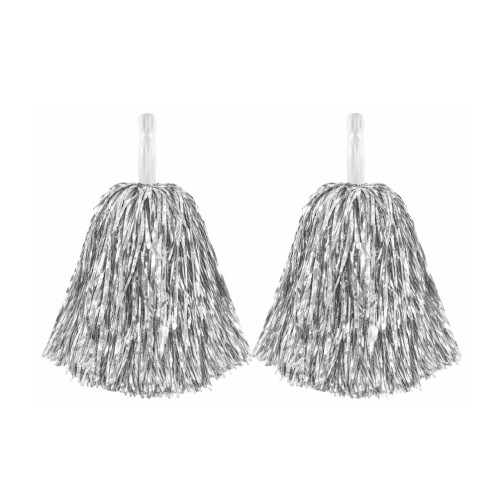 12053 - 5 srebrne.jpg