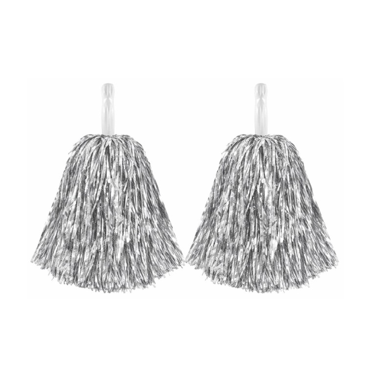 12053 - 5 srebrne.jpg