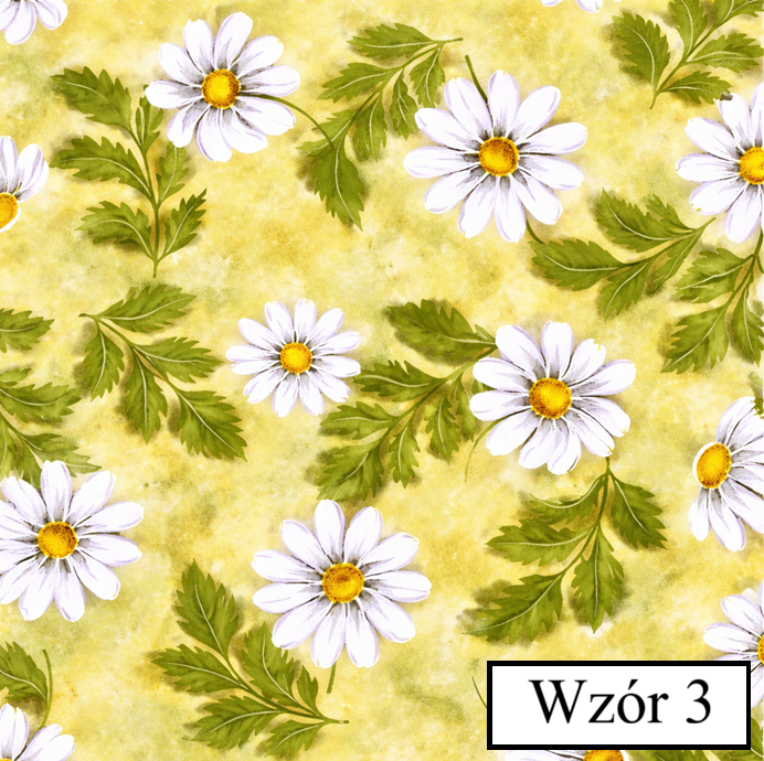 Wzór 3 - WF-2101.png