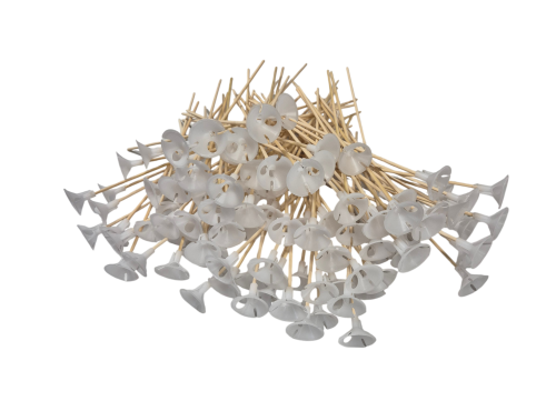 transparent-Photoroom(100).png