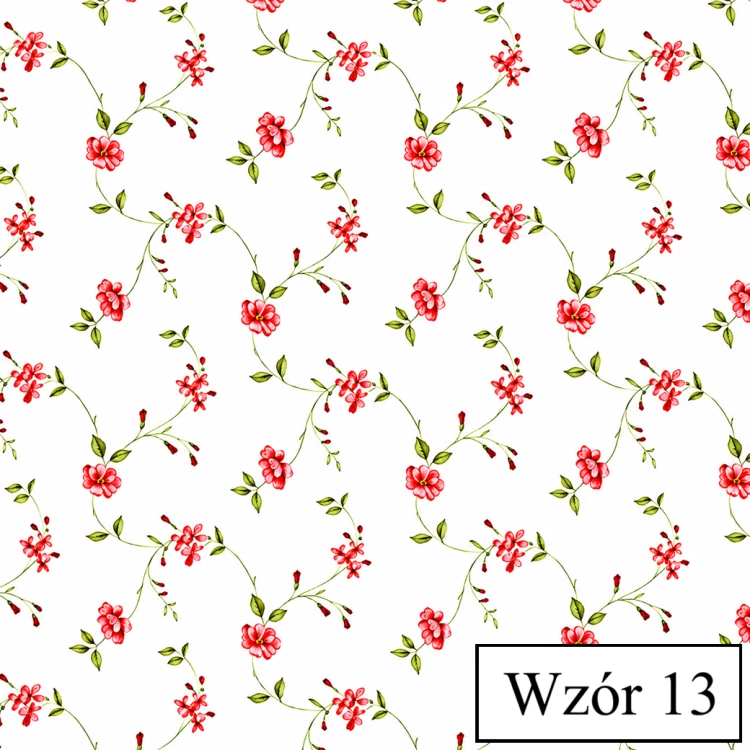 Wzór 13 - WF-6491E.png