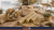 ChatGPT Image 13 sie 2026, 12_38_29.png