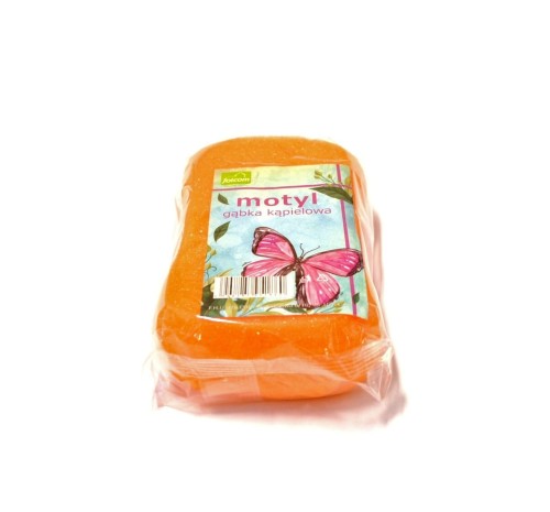 motyl.JPG
